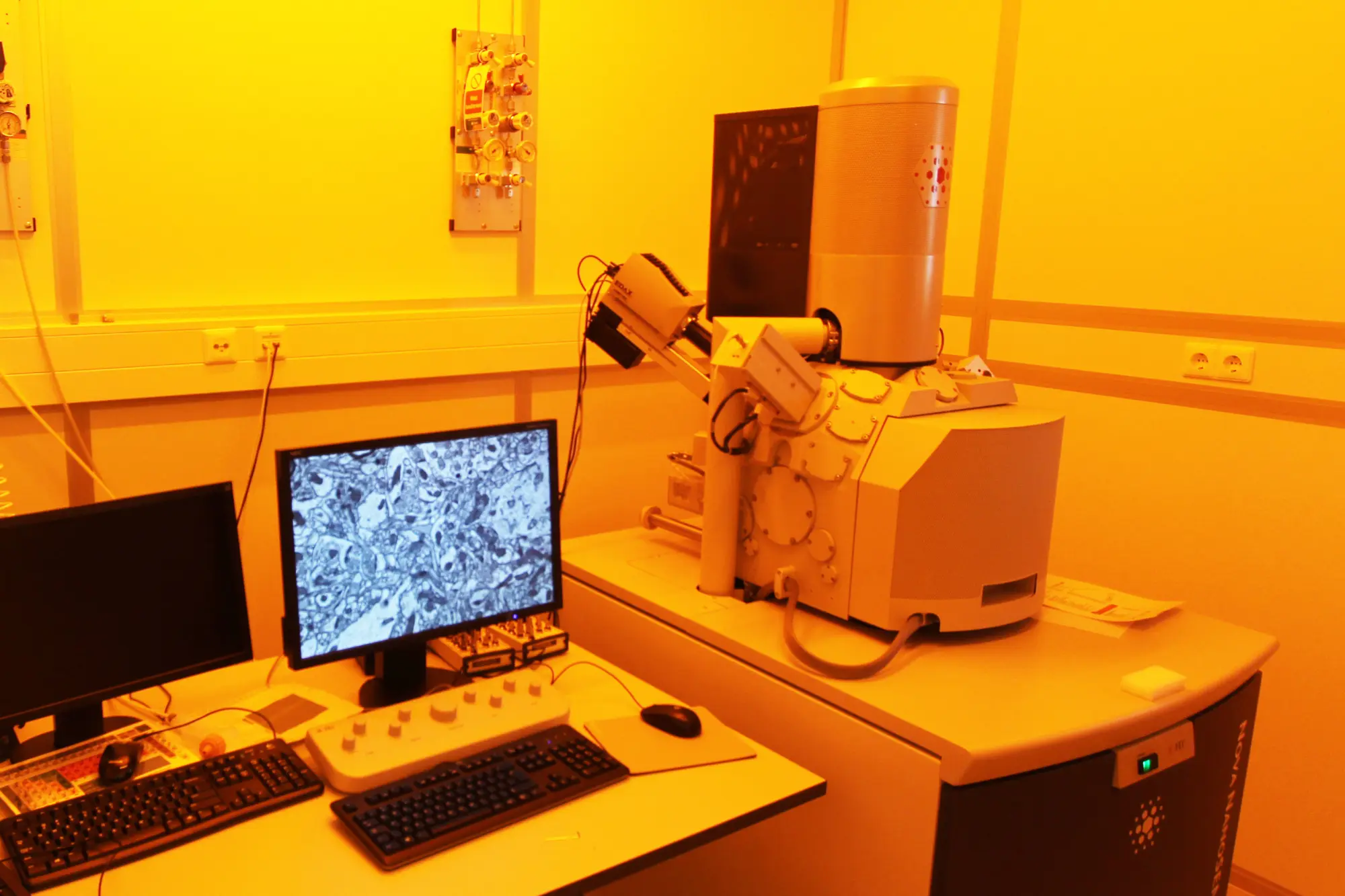 FEI NovaNanoSEM (Specimen surface inspection)