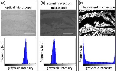 Advanced Visualization and Quantification of Sub-Micrometer Cracks in 2D Materials Using Fluorescence Quenching Microscopy